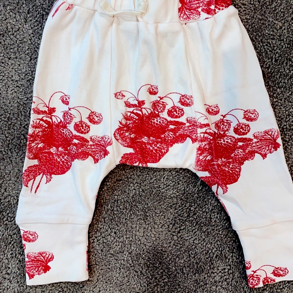 Kate quinn panda pants